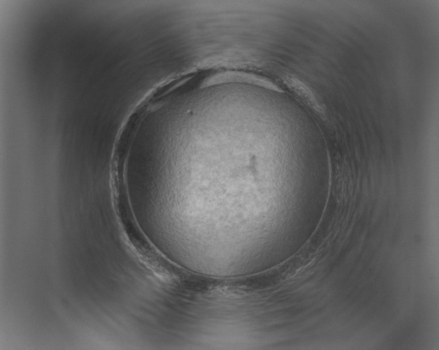 X0000073410680200608181056