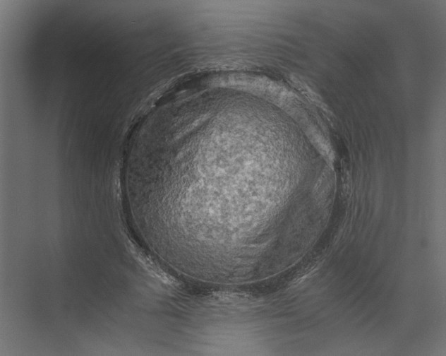 X0000073410681200608181056