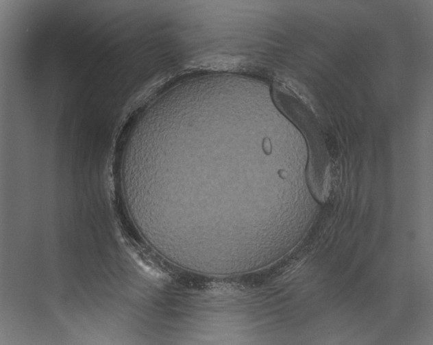 X0000073410682200608181056