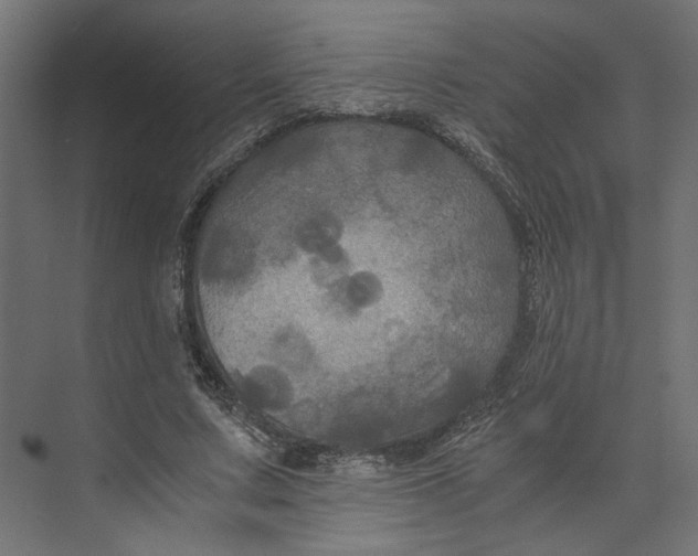 X0000073410683200608181056