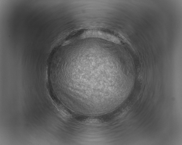 X0000073410685200608181056