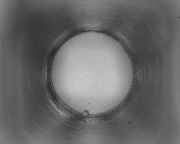 X0000073410686200608181056