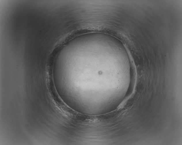 X0000073410688200608181056