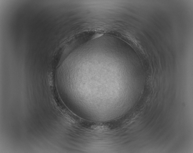 X0000073410689200608181055