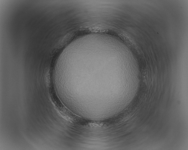 X0000073410690200608181055