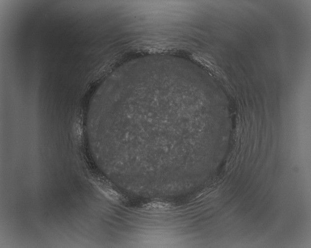 X0000073410691200608181055