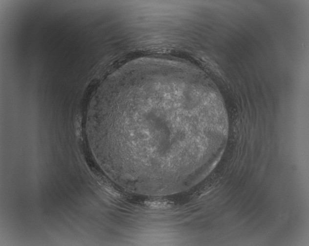 X0000073410693200608181055