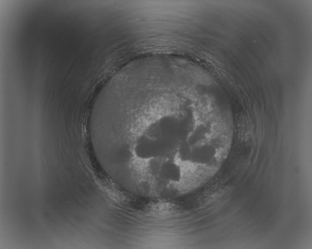 X0000073410695200608181055