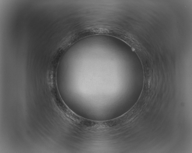 X0000073410696200608181055