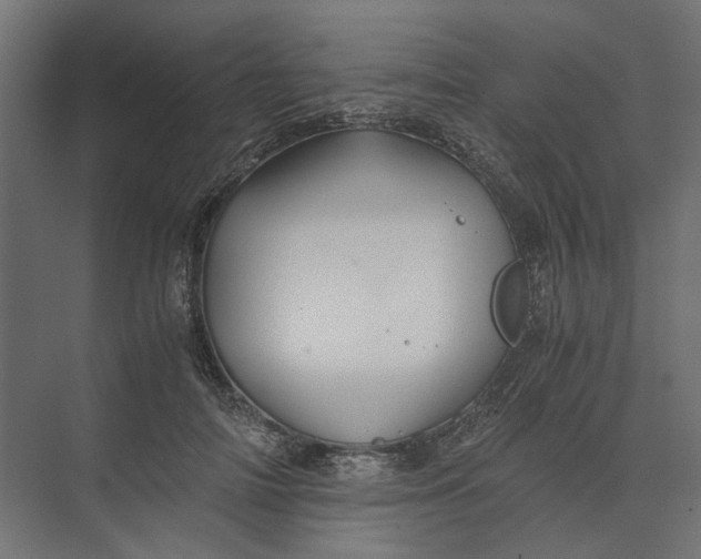 X0000073410698200608181055