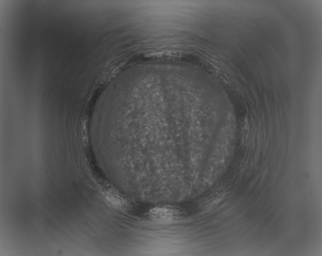 X0000073410699200608181055