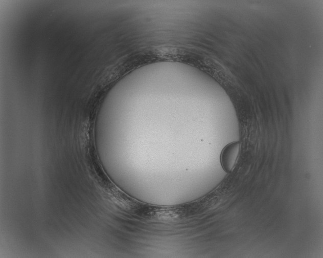 X0000073410702200608181055