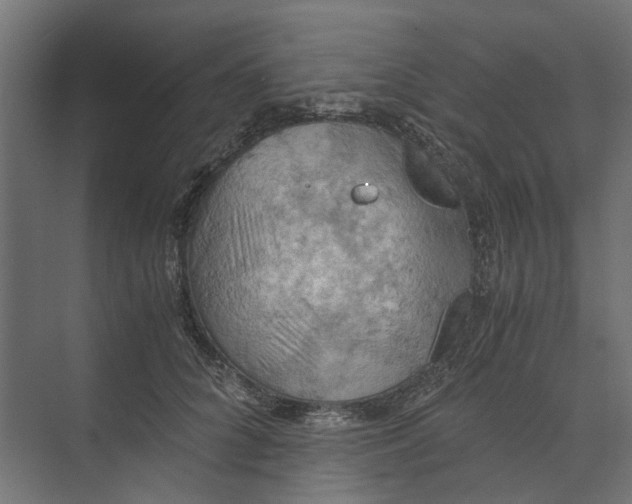 X0000073410704200608181055