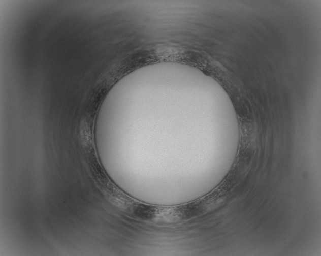 X0000073410705200608181055