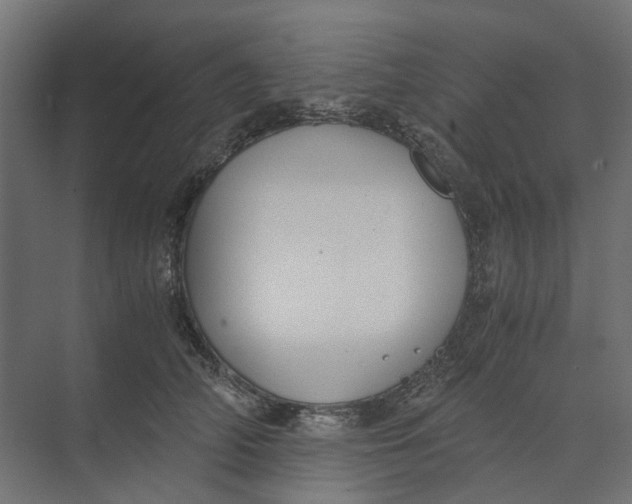 X0000073410706200608181055