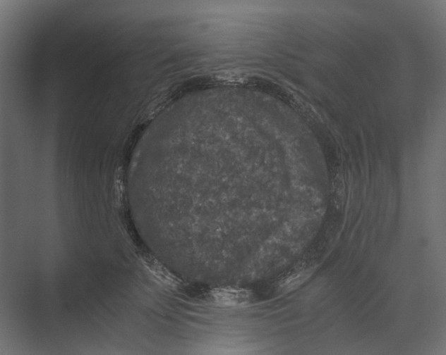 X0000073410707200608181055