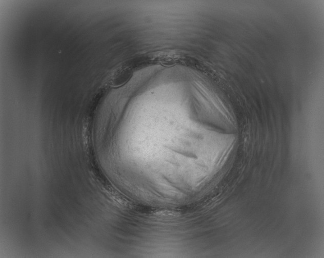 X0000073410708200608181055