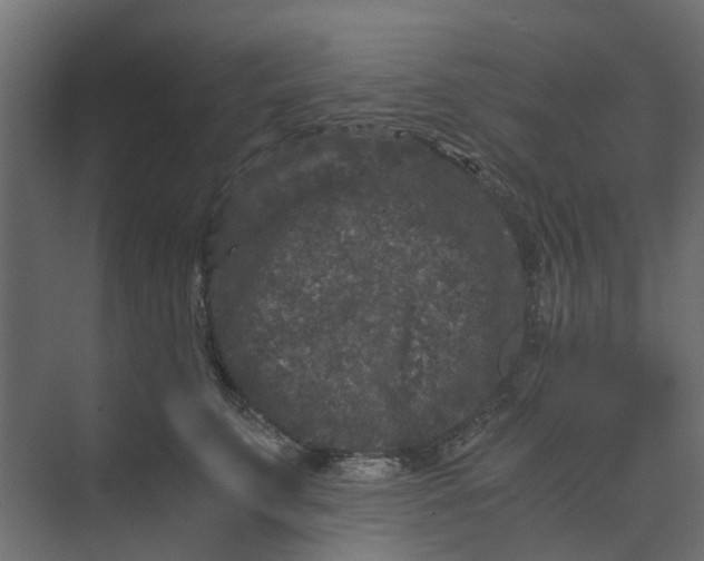 X0000073410711200608181055