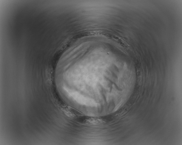 X0000073410712200608181055