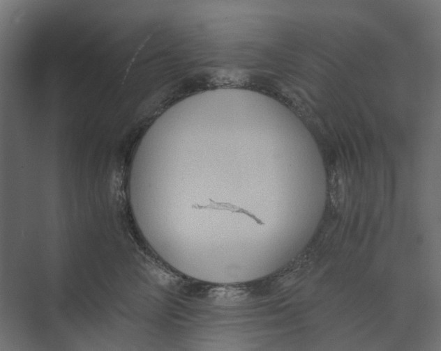 X0000073410714200608181055