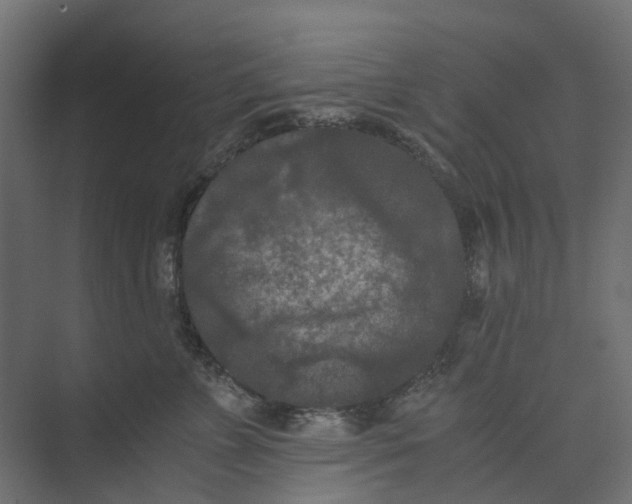 X0000073410715200608181055