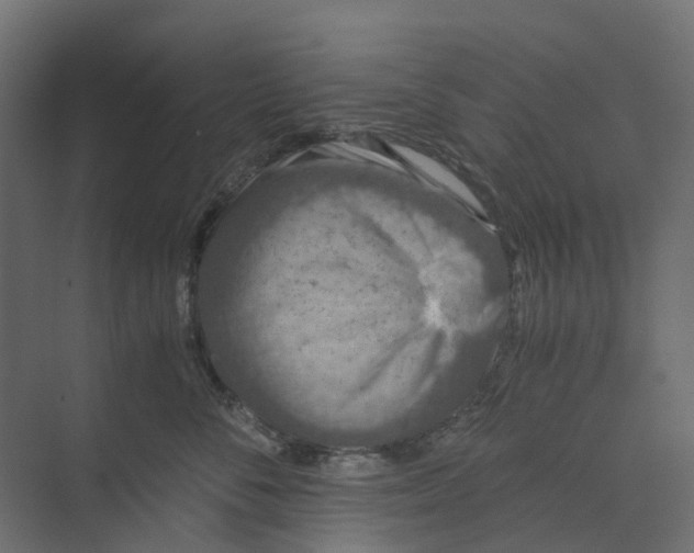 X0000073410716200608181055