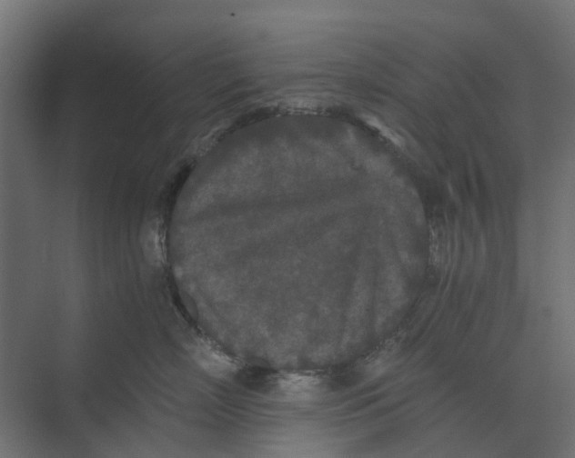 X0000073410718200608181055