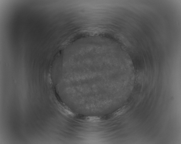 X0000073410719200608181055