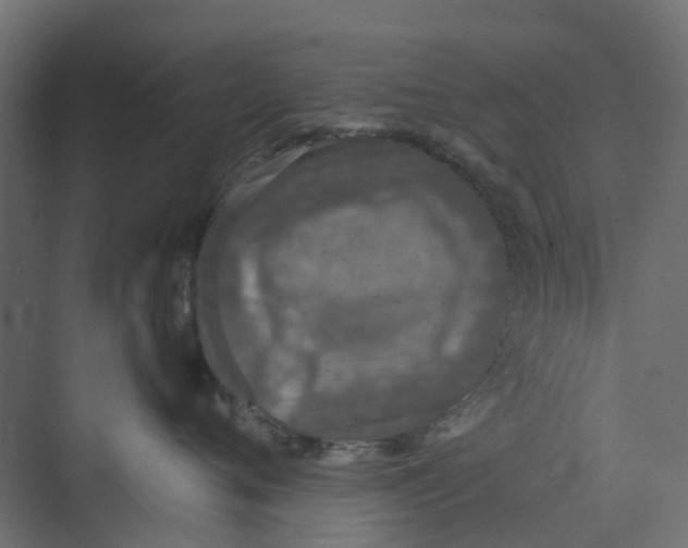 X0000073410720200608181055