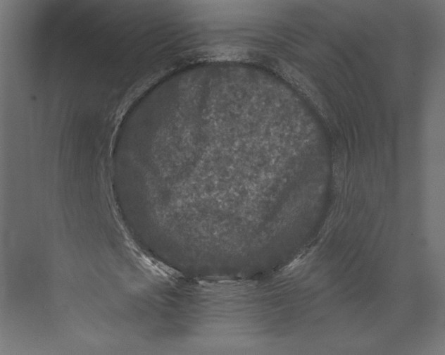 X0000073410721200608181054