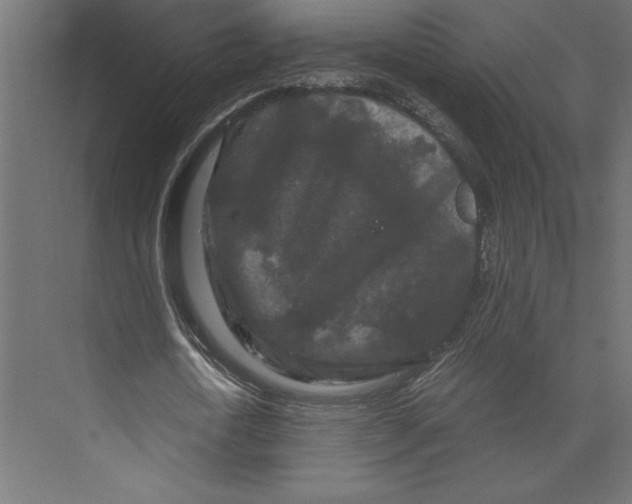 X0000073410722200608181054