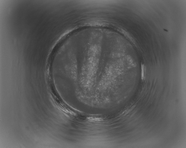 X0000073410723200608181054