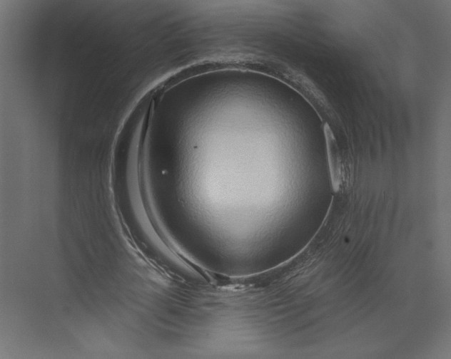 X0000073410724200608181054