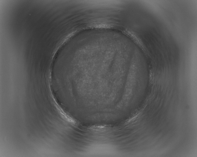 X0000073410725200608181054