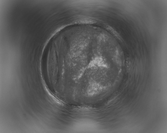 X0000073410726200608181054