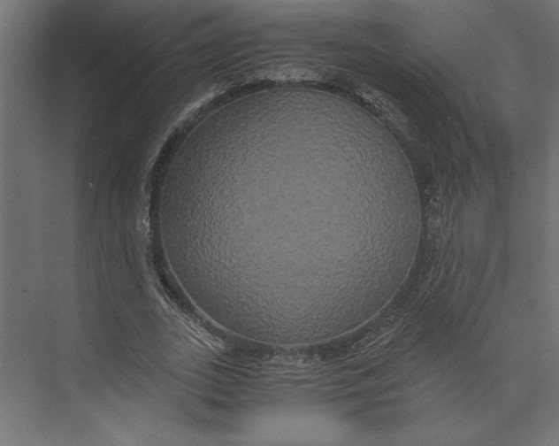 X0000073410727200608181054