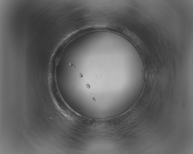 X0000073410728200608181054