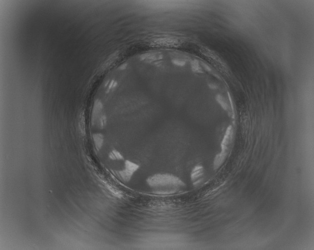 X0000073410729200608181054