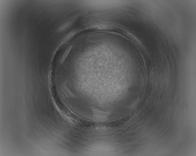 X0000073410730200608181054