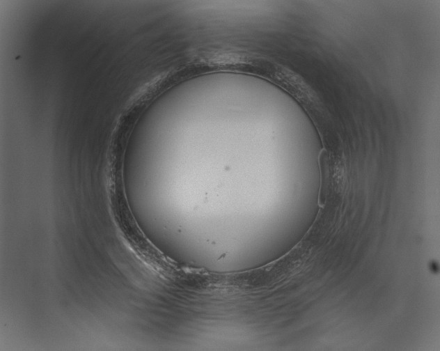 X0000073410732200608181054