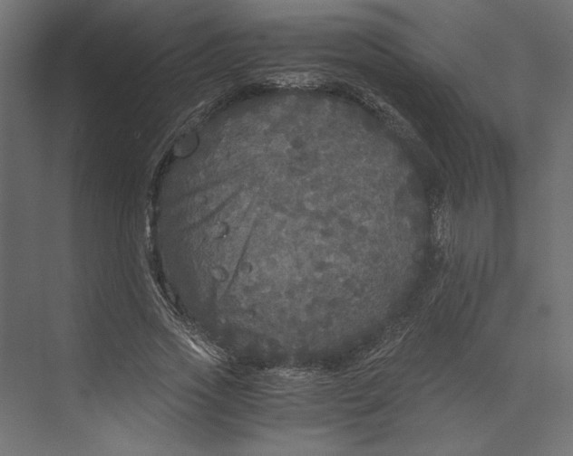 X0000073410733200608181054