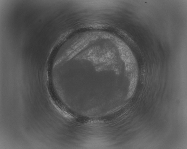 X0000073410734200608181054