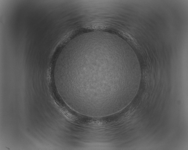 X0000073410735200608181054