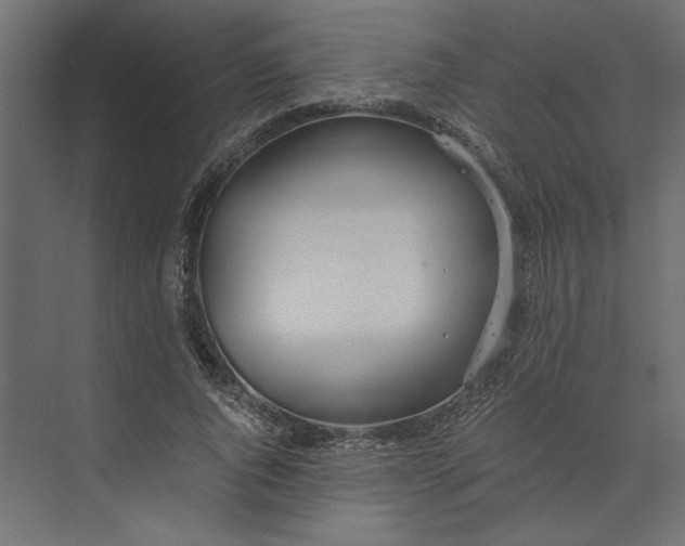 X0000073410736200608181054