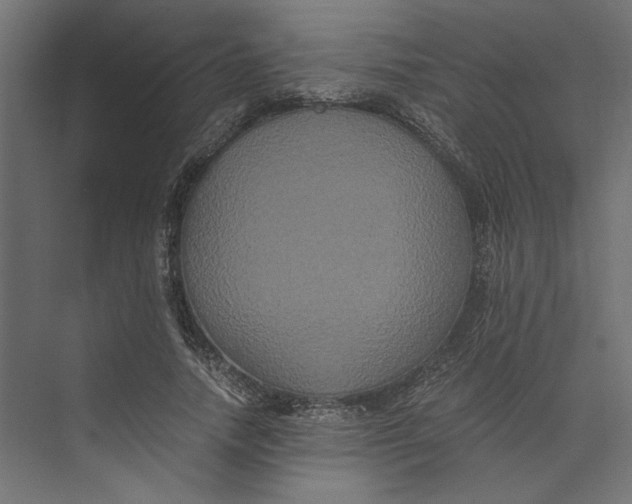 X0000073410738200608181054