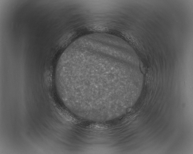 X0000073410739200608181054