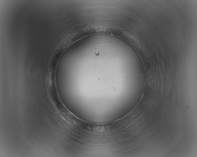 X0000073410740200608181054