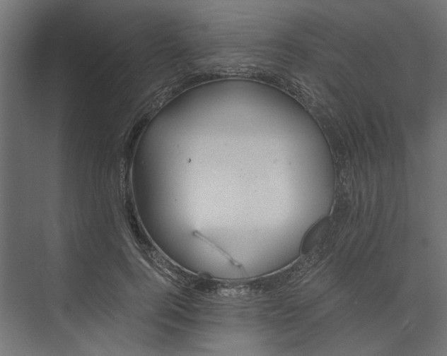 X0000073410744200608181055