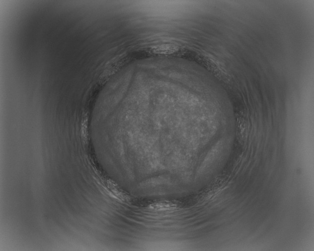 X0000073410745200608181055