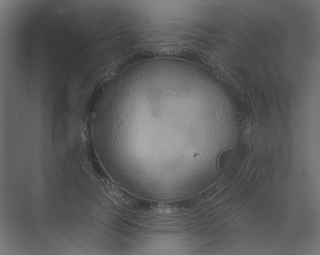 X0000073410746200608181055